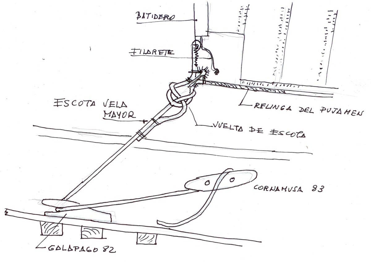 escota de mayor