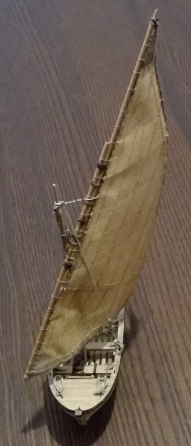 20210131_123411.jpg