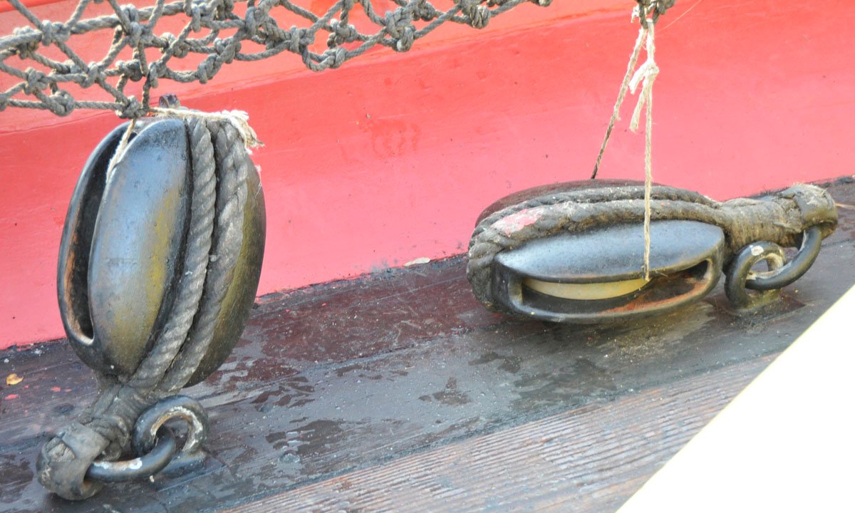 DE la Hermione