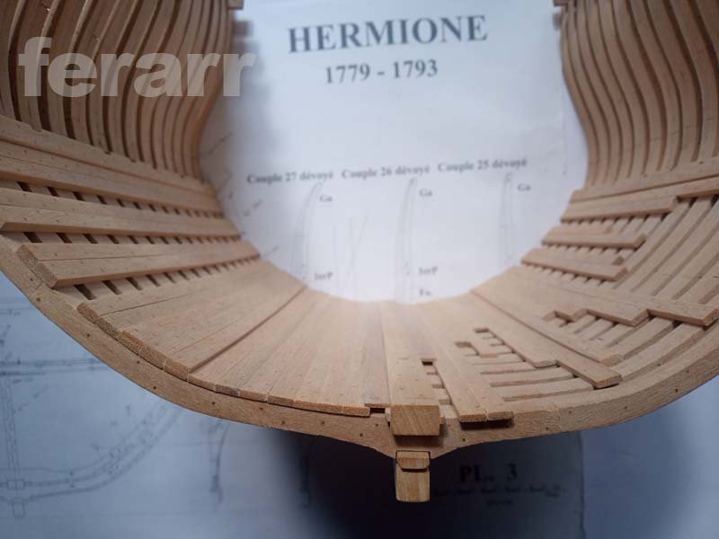 Seccion Hermione 004.jpg