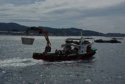 barco_1.jpg