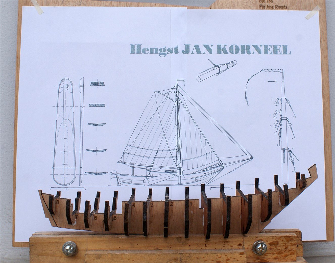 Hengst1 (10).JPG