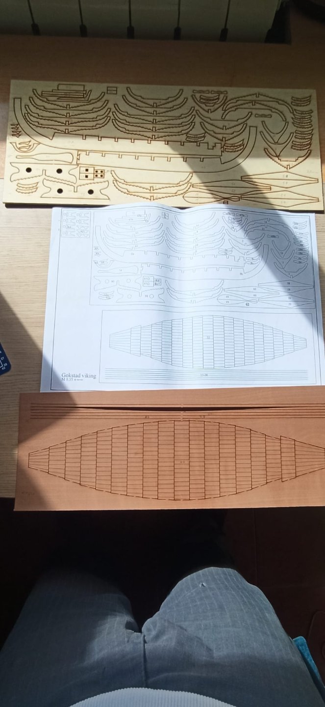Gokstad de Daniel Dusek (Terminado)