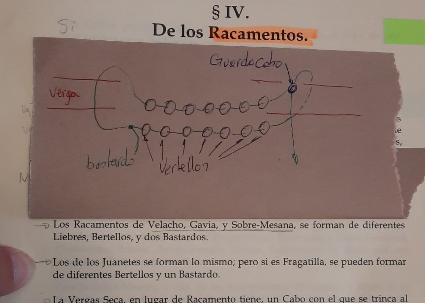ESQUEMA DEL RACAMENTO.