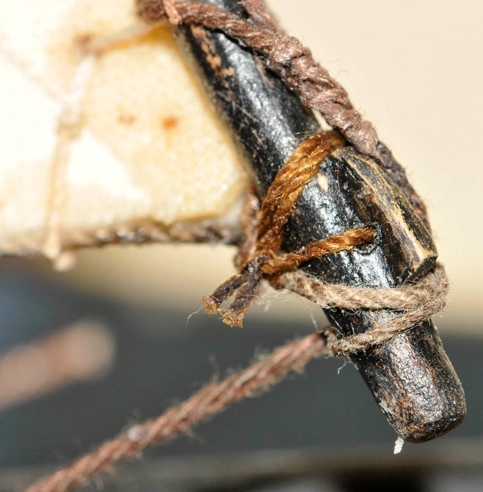 Re: Jabeque Cazador