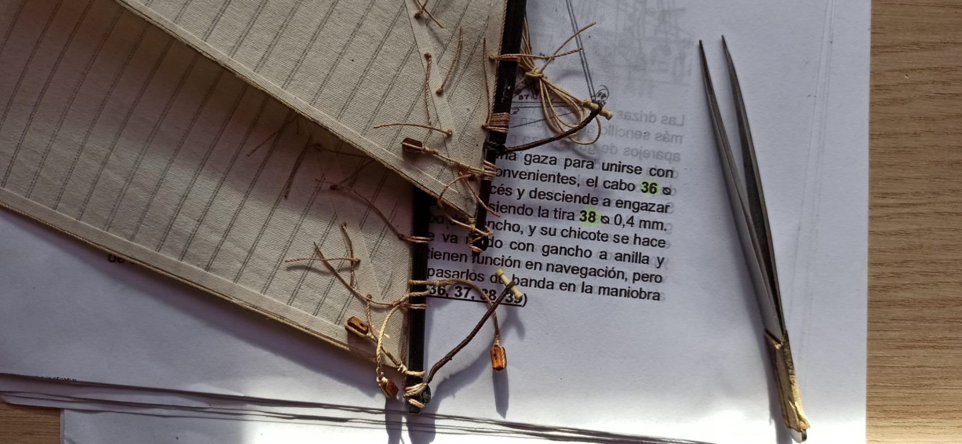 Jabeque (3).jpg
