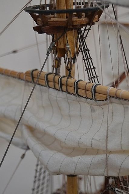 3350FF0B9E20508D63FC21508D6388.jpg