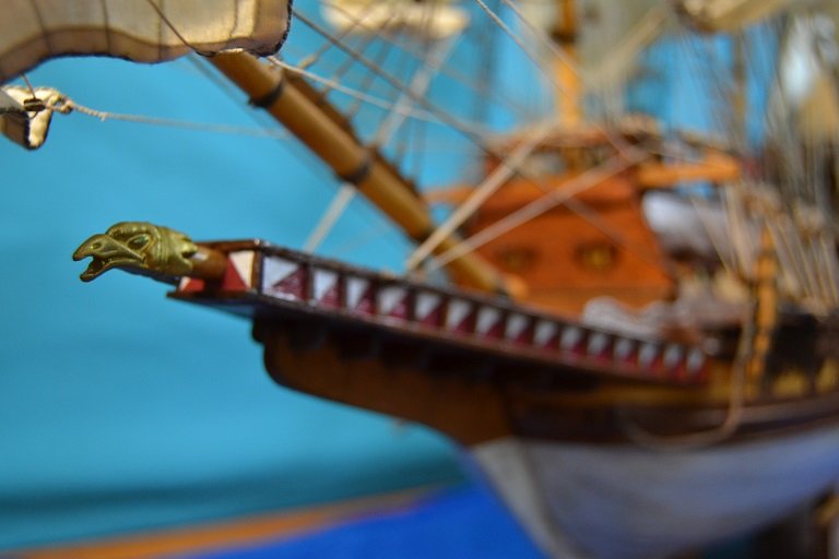 DSC_0511.JPG