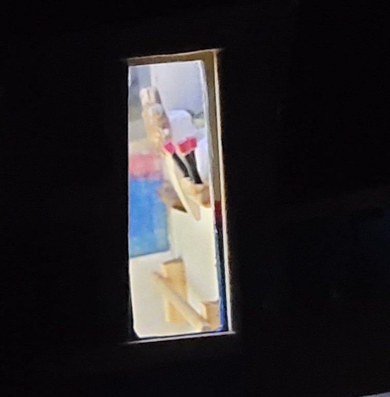 20250313_195111.jpg