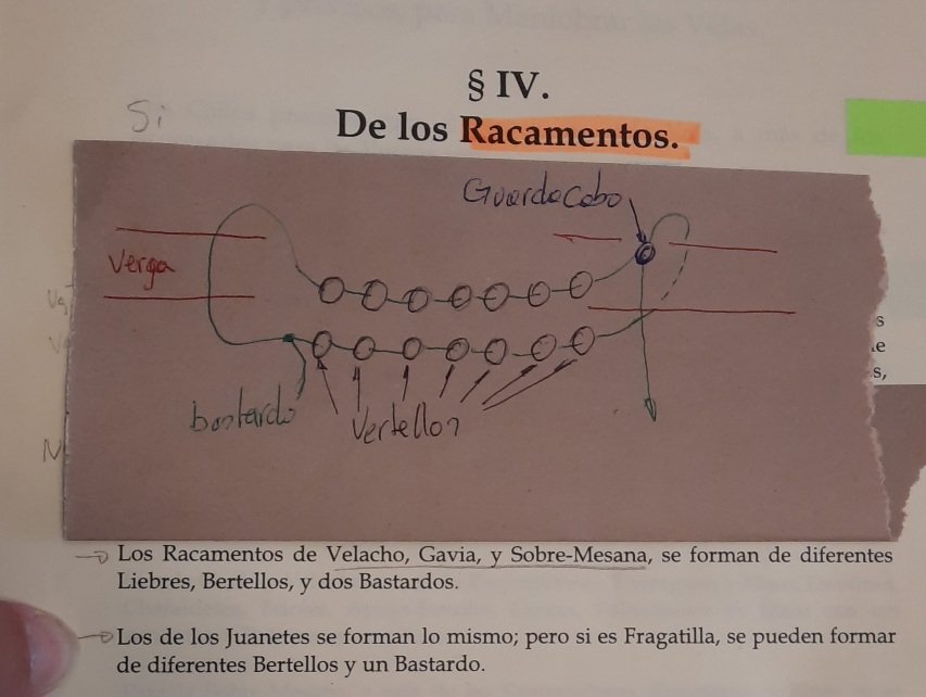 ESQUEMA DEL RACAMENTO DEL JUANETE MAYOR.