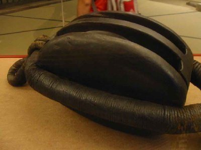 m1.jpg