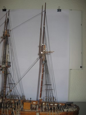 IMG_5137.jpg