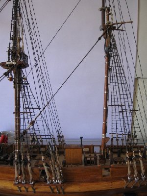 IMG_5157.jpg