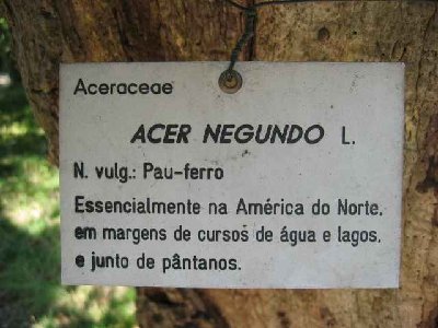 Pau 1.jpg