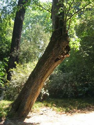 p2.jpg