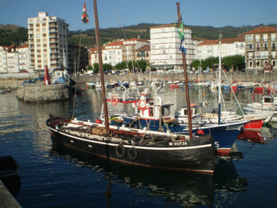 P72600475.gif