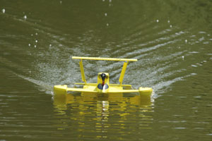 9556_4.jpg