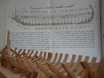 Vista de las cuadernas ya montadas.