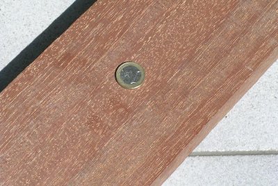 Palo de hierro 003B.jpg