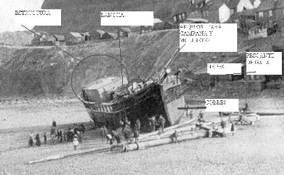 demeter IL.JPG