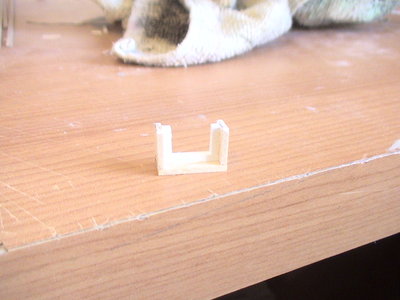 DSC01008-1.jpg