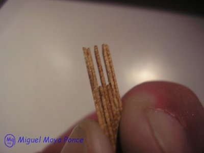 0002_GuinCaj(28-02-08)_F.jpg