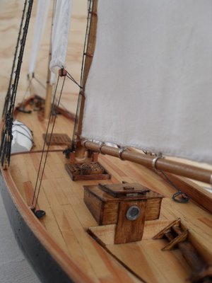 SDC1001000.JPG