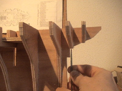 DSC00475-1.jpg