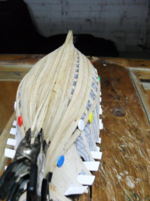 SDC10173.JPG