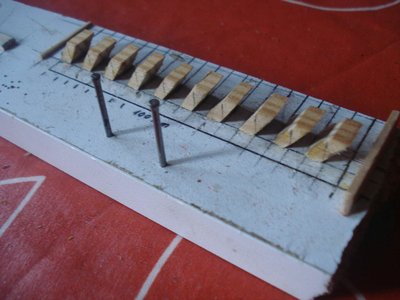 DSC08735web.jpg