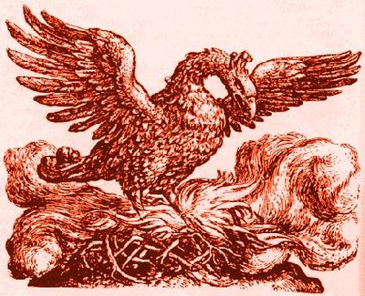 fenix8.jpg