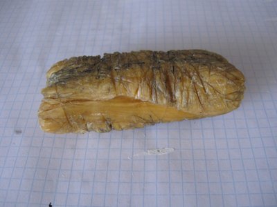 IMG_2447.jpg
