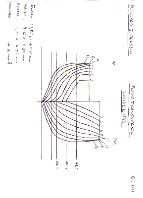 S.Agustin1.gif