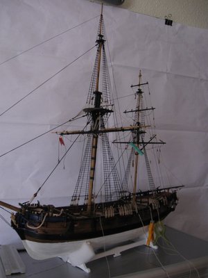 IMG_2557.jpg