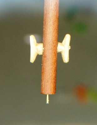 7.JPG