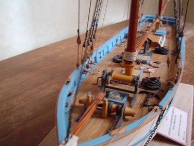 Swallow 7.jpg