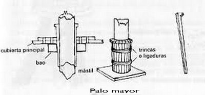 palo mayor 2.jpg