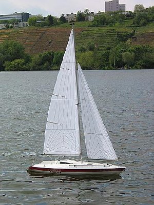 IMG_5504.jpg