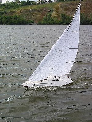 IMG_5552.jpg