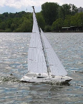 IMG_5556.jpg