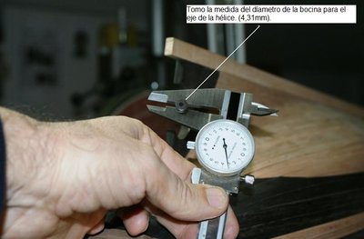 294.jpg