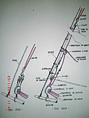 CIMG4342.JPG