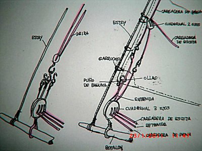 CIMG4344.JPG