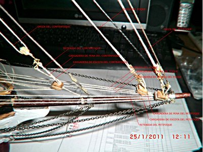 CIMG4346.JPG