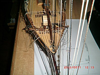 CIMG4350.JPG