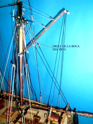 Driza de la boca del pico