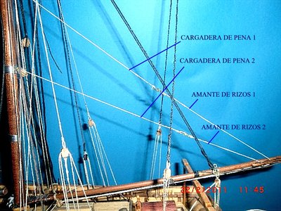 CIMG4458.JPG
