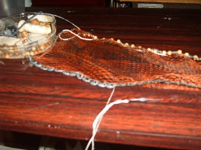 S3700439.JPG