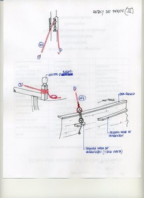 estay_foque_2.jpg