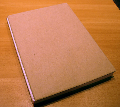 12 Cartones de la portada.jpg